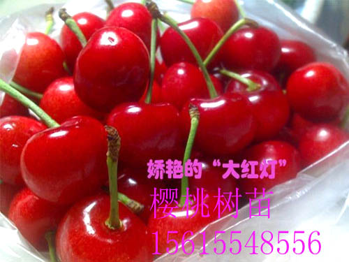 戳我试试