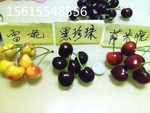 戳我试试