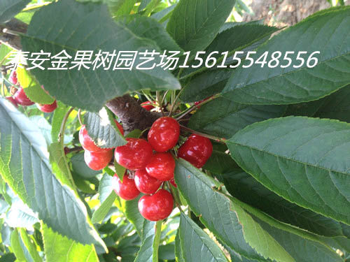 戳我试试